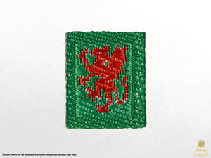 1/6 de l'armée britannique 1er bataillon Royal Welsh TRF