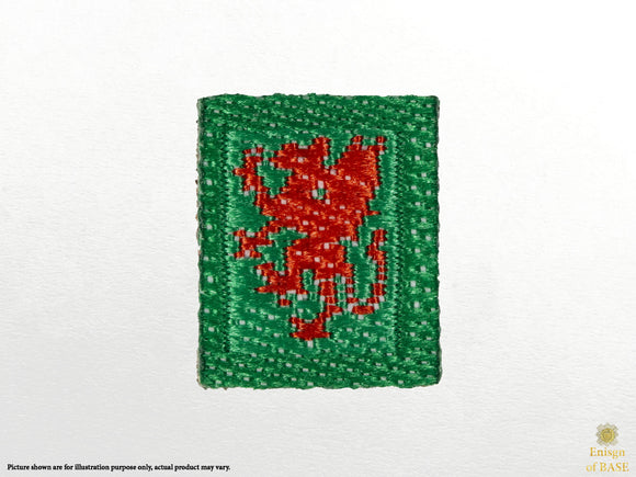 1/6 Ejército Británico 1er Batallón Royal Welsh TRF