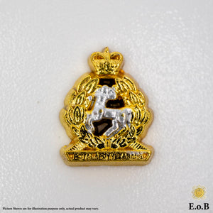 1/6 Ejército Británico WWI Royal Hampshire Regimiento Cap Badge