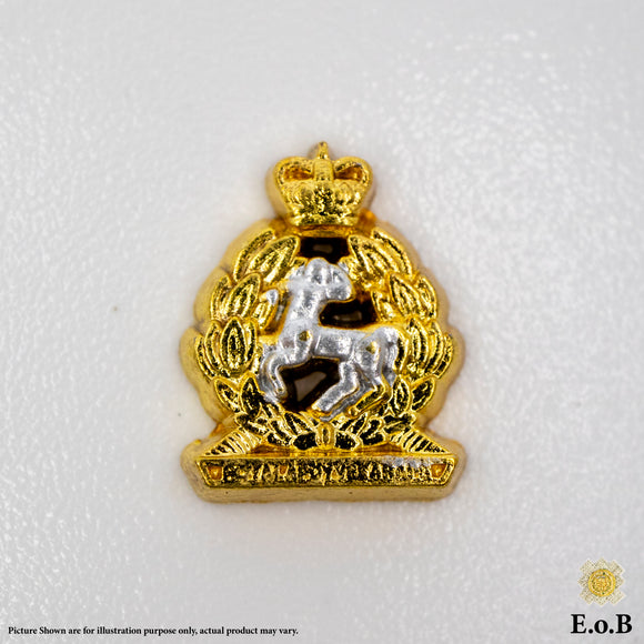 1/6 Britische Armee WWI Royal Hampshire Regiment Cap Badge